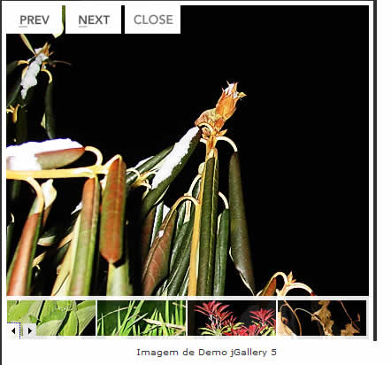 jGallery images lightbox jQuery