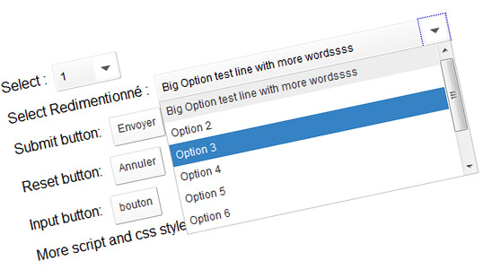 jqTransform with jQuery plugin