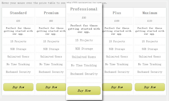 Pure CSS3 Animation Pricing Table